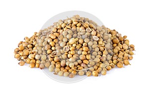 Coriander seed on white background