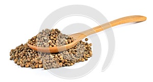 Coriander seed in the wood spoon on white background