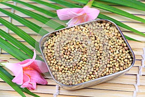 Coriander seeds