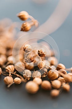 Coriander seeds