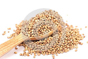 Coriander Seeds