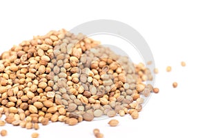 Coriander Seeds