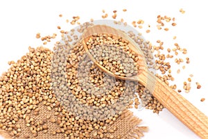 Coriander Seeds