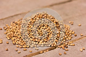 Coriander Seeds