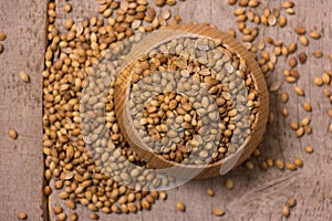 Coriander Seeds