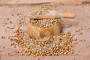 Coriander Seeds