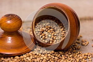 Coriander Seeds