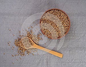 Coriander Seeds in Bowl, Organic Cilantro Grains, Chinese Parsley Seed Group, Dry Spices, Seasonings