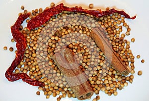 Coriander seeds, cinnamon sticks and dried chillies