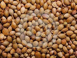 Coriander Seeds close up macro isolated on white. Image suitable for restaurants, supermarkets, wholesalers, resellers coriander