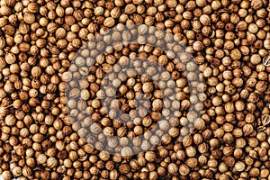Coriander seeds. Coriander dry seeds background