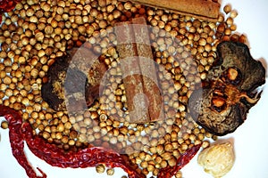 Coriander seeds, dried garcinia, cinnamon sticks and dried chillies