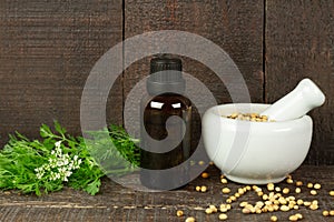 Coriander seeds herb and food for healthy.