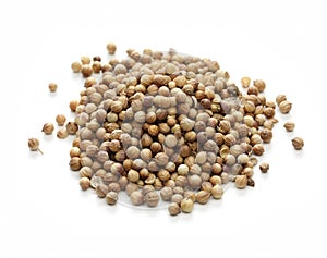 Coriander seeds, indian spice