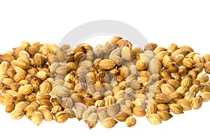 Coriander seeds, isolated