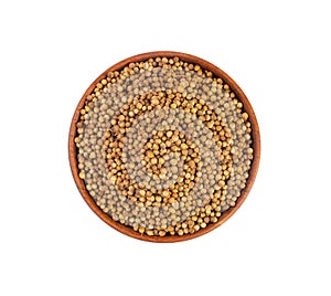 Coriander Seeds Isolated, Cilantro Grains, Chinese Parsley Seed Group, Dry Spices, Seasonings