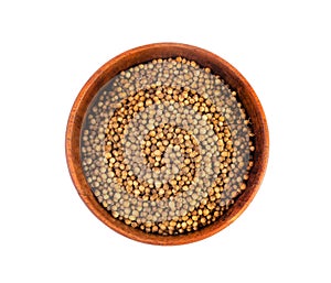 Coriander Seeds Isolated, Cilantro Grains, Chinese Parsley Seed Group, Dry Spices, Seasonings