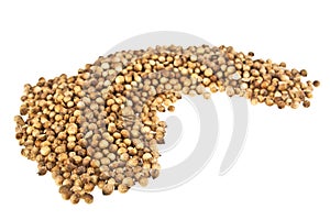 Coriander seeds isolated on white background