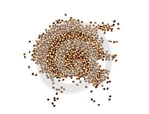 Coriander seeds isolated on white background