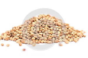 Coriander Seeds