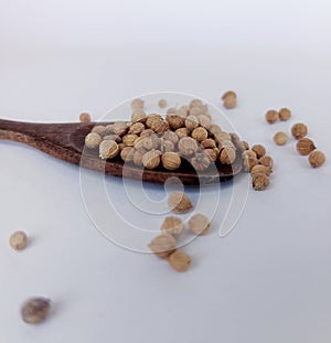 coriander seeds photographed at close range and on a white background