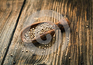 Coriander seeds in a spoon