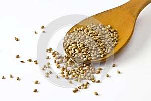 Coriander seeds on spoon