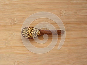 Coriander seeds on spoon