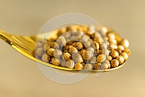 Coriander seeds on a spoon