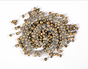 Coriander seeds on white background