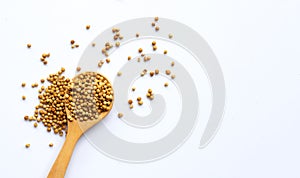 Coriander seeds on white background