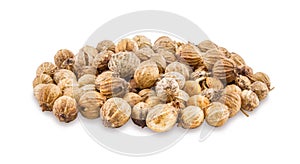 Coriander seeds on a white background.