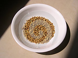 Coriander Seeds in White Bowl