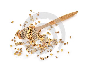 Coriander seeds in a wooden spoon