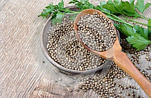 Coriander seeds in a wooden spoon.