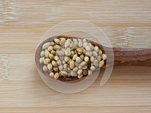 Coriander seeds on wooden spoon