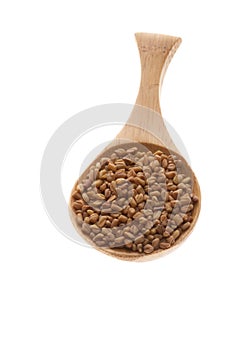 Coriander seeds on a wooden spoon