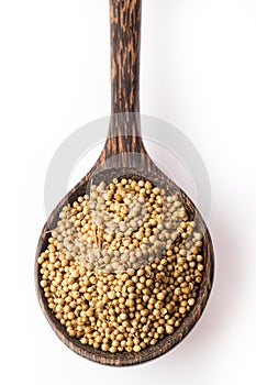 Coriander seeds on the wooden spoon