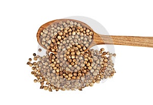Coriander seeds in wooden spoon isolated on white background