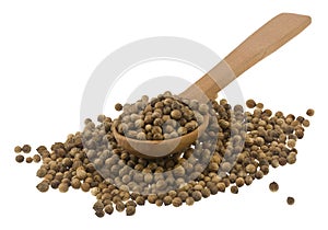 Coriander seeds in a wooden spoon Isolated on a white background