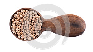 Coriander seeds in wooden spoon, isolated on white background. Cilantro grain. Organic spice. Top view.