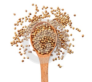 coriander seeds in wooden spoon isolated on white background top view