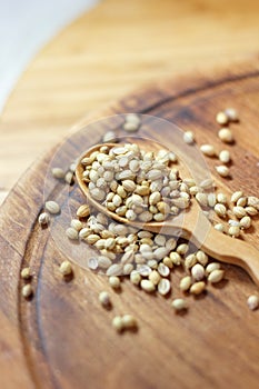 Coriander seeds in a wooden spoon over kitchen board.