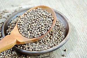 Coriander seeds in a wooden spoon. traditional cooking spices.