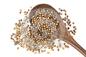 Coriander seeds in wooden spoon on white background