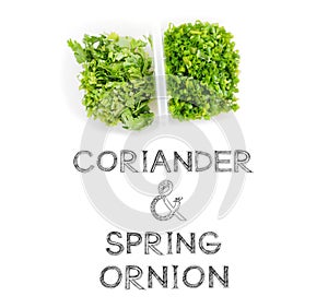 Coriander and spring onion