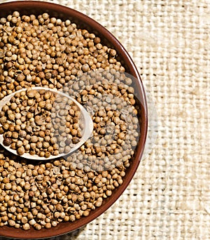 Coriander is a valuable antiscorbutic