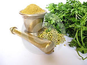 Coriander in various forms