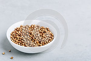 Coriander whole dry seeds in white bowl on gray stone background