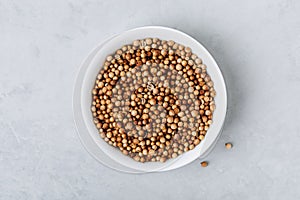 Coriander whole dry seeds in white bowl on gray stone background